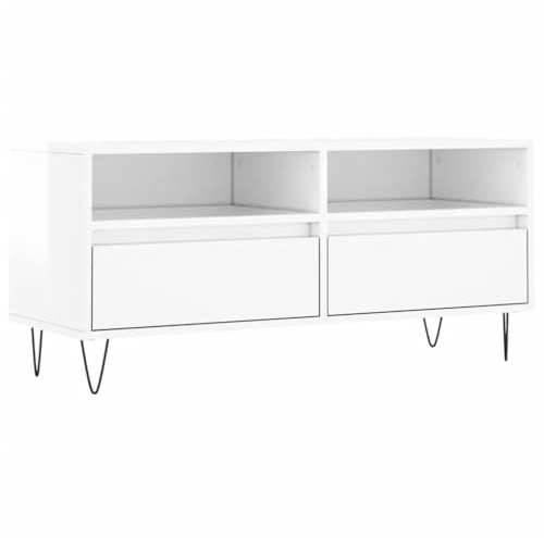 Qnhdfrt TV-Schrank Lowboard Modernes Hochglanz-Weiß 100x34,5x44,5 cm aus Holzwerkstoff und Eisenbeinen Stauraumwunder mit 2 Fächern und 2 Schubladen für Wohnzimmer Schlafzimmer Büro