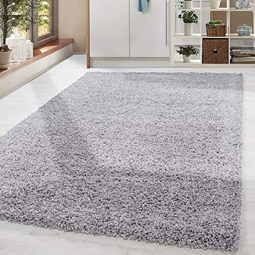 HomebyHome Alfombra Shaggy Gris Claro de Pelo Largo 120x170 cm Suave Moderna Lisa salón o Dormitorio