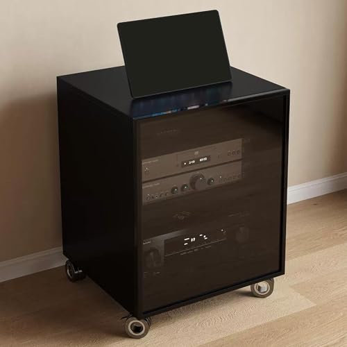 JIAOCKJIAO Phonoschrank, Beweglicher Audio Rack Hi Fi Regal, Record Player Stand mit Glastür, Hi Fi Rack mit Kabellöchern, Moderner TV-Schrank mit Verstellbaren Regalen(Nero,2 Tier 55x45x60CM)