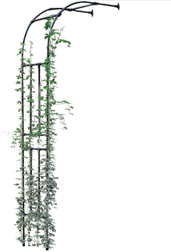 Arche de jardin en acier galvanisé, grande pergola en treillis pour rosiers, arche pour plantes grimpantes à moitié latérale pour fête, cérémonie, mariage, jardin, pelouse, patio, cour(220x240x40CM/7.