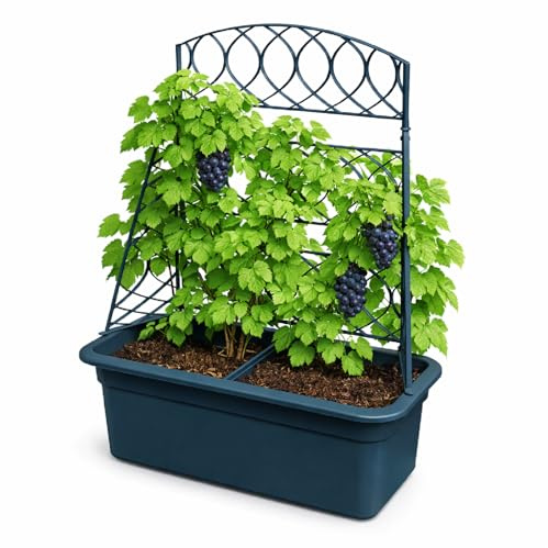 Prosperplast Blumentopf mit Pergola – Pflanzkübel mit Rankhilfe – ideal für Kletterpflanzen | wetterfest & robust | Maße: 58 x 78 cm | Anthrazit