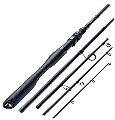 Sportex Carat GT-S Spin Travel 2,40/3,00m 32-88g 5 Teile Reiserute