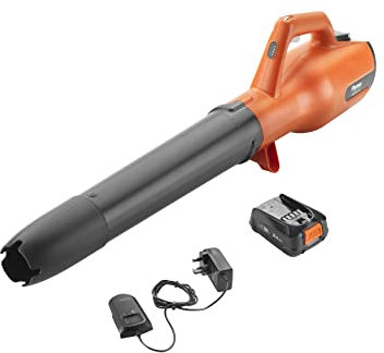 Flymo 18V EasiClear 100 Cordless Garden Blower Kit - With 18V POWER FOR ALL Battery and Charger Included, For Clearing Patios and Gardens of Leaves, Controllable Airflow, Variable Speed