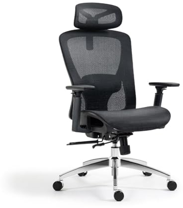 boulies EP200 ergonomisk kontorsstol, skrivbordsstol för hem, hög rygg nätstol med justerbart sätesdjup, datorstol med ländryggsstöd (Mesh, svart)