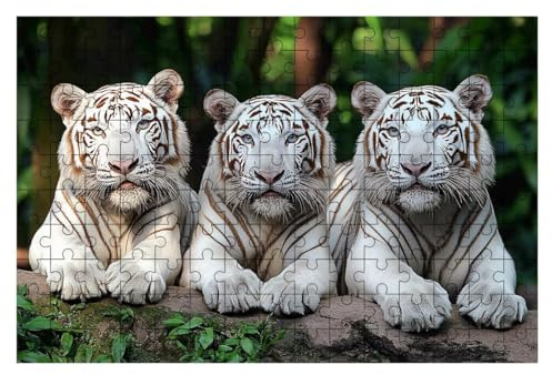 Puzzle 1000 Teile Tier, Tiger Puzzle 1000 Teile Erwachsene, Puzzel für Die Ganze Familie, Klassische Puzzles Geschicklichkeitsspiel, Holzpuzzle für Geschenke für Frauen, Männer, Deko Wohnzimmer -1957