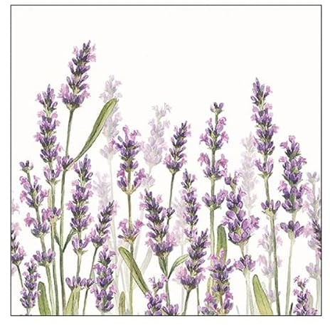 Ambiente - Papierservietten - Lavender Shades / Lavendel, weiß 25 x 25 cm