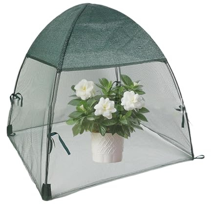 Minis Gewächshaus, Gewächshaus Winterzelt, Gewächshaus Balkon, Gewächshaus Kleins Überwinterungszelt für Pflanzen, Anzuchthaus zum ganzjährigen Schutz von Gemüse & Pflanzen