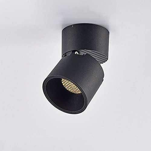 Foco de Techo LED para Interiores, lámpara de Acento, luz de Techo Ajustable de 12 W, Foco direccional Giratorio de Superficie, luminaria de Techo Moderna de Aluminio.