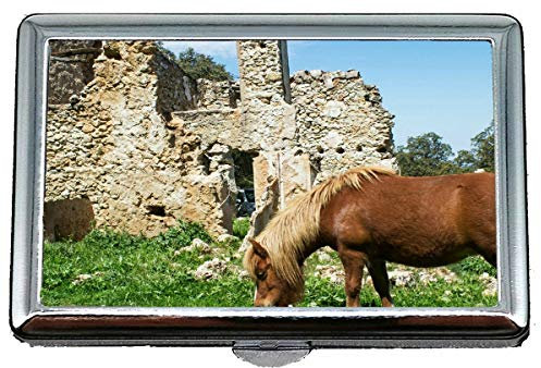 Geschäftsname-Kartenhalter, Schnee-Leopard-Katzen-Familien-Leopard-Namenskarten-Kasten