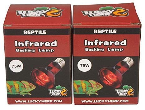 Lucky Herp Confezione da 2 lampadine a infrarossi per retti, attacco E27, 75 W