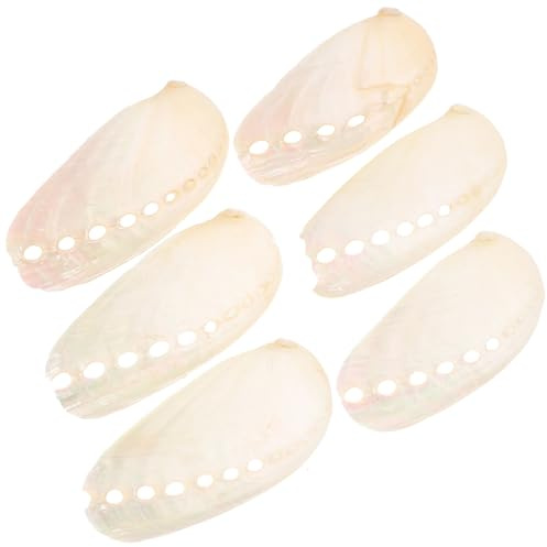 Homoyoyo 6 Pièces de Coquilles D'ormeau Naturelles Beige pour Décoration Plage Style Côtier, Artisanat Marin pour Mariages et Expositions Élégantes