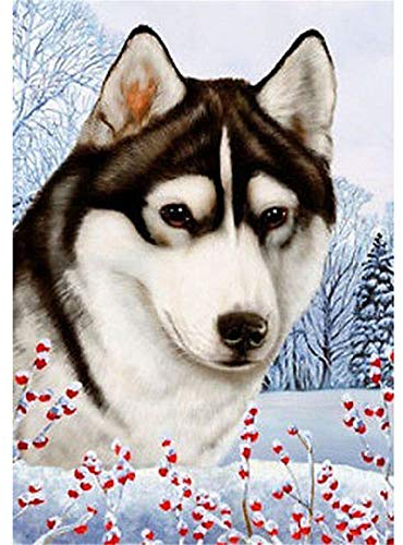 Yingxin34 Puzzles 1500 Teile, Ballon Landschaft Rahmenpuzzle, Puzzle Spiel Geschenk, DIY Puzzle Würfel Hund im Schnee Impossible Puzzle, Geschenk Geschicklichkeitsspiel für die Ganze Familie