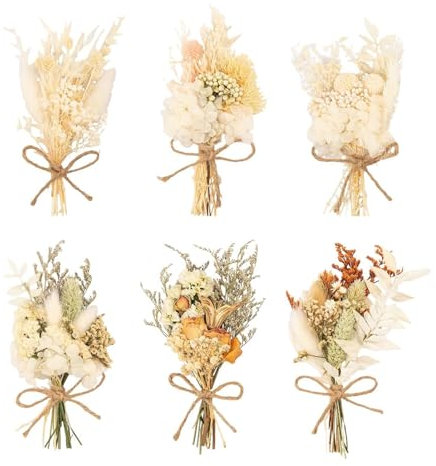 CVFRTT 6 Sträuße Aus Trockenblumen, Trockenblumenstrauß, Desktop-Vasendekoration, Trockenblumen-Basteldekoration, Heimdekoration, Kleine Trockenblumen Im Fotorahmen
