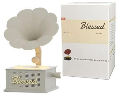 Mini altoparlanti Bluetooth di ricarica portatile stile retrò lettore stereo Record Box Grammofono suono