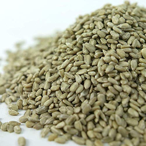 SQUAWK Graines de Tournesol - Graines de Boulangerie de qualité supérieure sans déchets pour Oiseaux Sauvages (10kg)