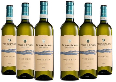 Terre Forti Pinot Grigio Delle Venezie DOC, Trockener Italienischer Weißwein mit Pfirsich- und Grapefruitnoten, 12 % Vol., Karton mit 6 Flaschen mit jeweils 750 ml