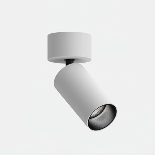 Jadssox Foco de Techo LED Blanco con cableado Fijo, focos de Acento direccionales Ajustables de 10 W, luz de Techo expuesta para Sala de Estar, lámparas de exhibición de Obras de Arte