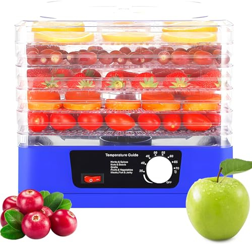 Essiccatore per Alimenti, Essiccatore Elettrico per Frutta da 13 Litri, Temperatura Regolabile da 35 A 70 Gradi, Piccolo Elettrodomestico da Cucina per Uso Domestico