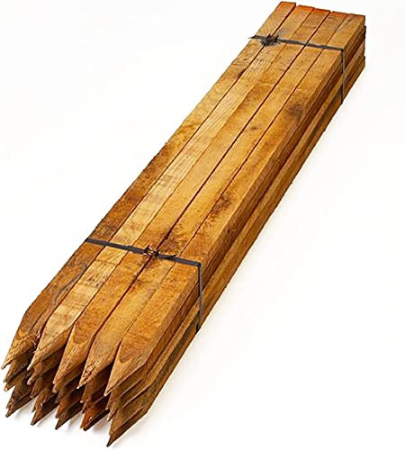 Homatz Wooden Garden Stakes 20 Pack, 75cm/2.5ft Long Square Wooden Stakes - Pressure Treated Timber for Plant & Tree Support - 2.5cm Thick Pegs