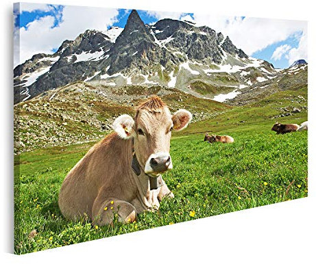 islandburner Cuadro en Lienzo Vaca Lechera Con Pasto En Suiza Montañas Alpinas Pasto De Hierba Verde Sobre Cielo Azul