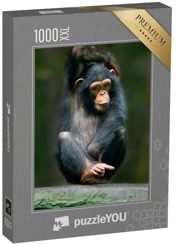 Puzzle 1000 Teile XXL „Schimpanse: EIN Menschenaffe aus Afrika“ – aus der Puzzle-Kollektion Schimpansen, Tiere in Dschungel & Regenwald