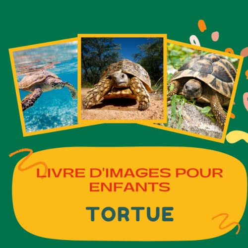 Livre d'images pour enfants - Tortue: Découvrir les tortues en image - Enfants de 2 à 5 ans