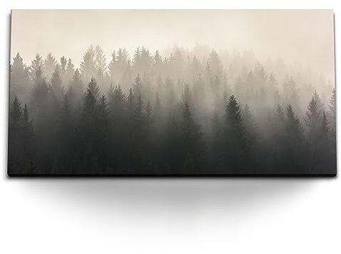 Paul Sinus Kunstdruck Bilder 120x60cm Tannenwald Tannen Nebel Wald Natur Bäume