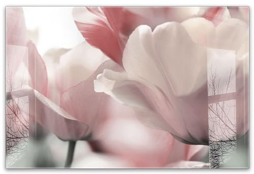 timalo Küchenbild aus Acrylglas modernes Wandbild Glasbild Deko Küche XXL Bild wie Glas | 60x40cm Blühende Tulpen in Pastell, Frühlingsblumen