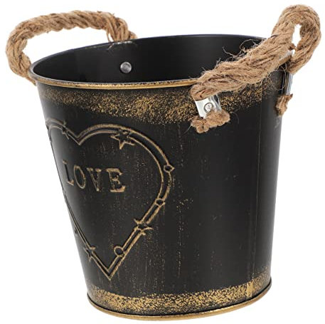 ifundom Pot De Fleurs Fer avec Poignée Fournitures De Jardin Créatives Vase pour Petites Plantes Décoration Intérieure Multifonction