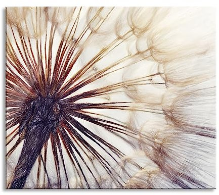 Schöne Pusteblume Herdabdeckplatte & Spritzschutz aus Echtglas | Für Herd-Kochfelder | 60x52 cm
