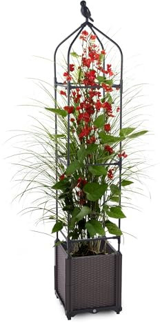 Gartenwelt Riegelsberger Jardinière avec tuteur en forme de pyramide, 3 niveaux, 30 x 30 x 160 cm, pour l'intérieur et l'extérieur