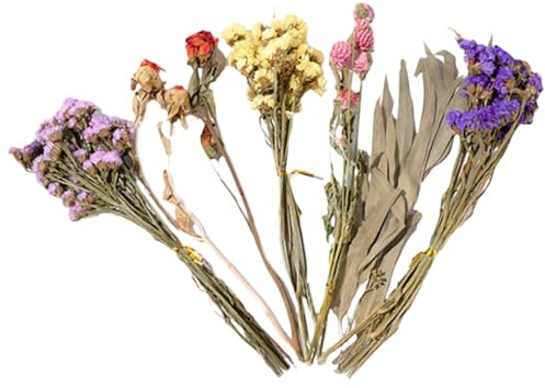 Générique Blommor Xhamster BettitZEUG-Natural Hay blomsterbäddlinje för burar | Perfekt för hamstrar, lemingar, marsvin | Husdjur och Doftande gnagare