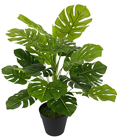 Kunstpflanze Splitphilo im Topf Künstliche Blattpflanze Splitphilo-Pflanze Monstera Seidenblumen Pflanzen Dekopflanze Grünpflanze Seidenpflanze Zimmerpflanze Kunstblume Deko Büropflanze 46x35x35cm