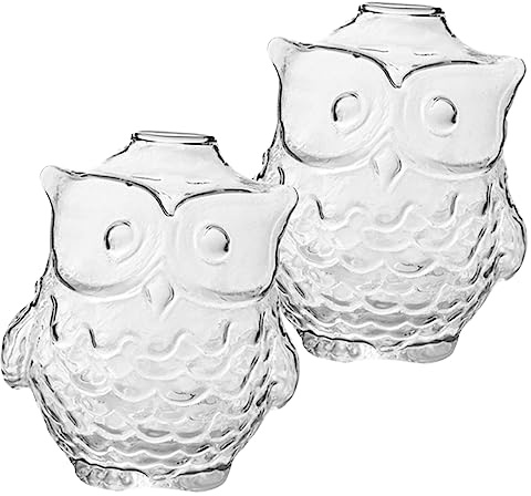 AOKWAWALIY Glasvasen-Set in Eulenform, elegant, 2 Hydrokultur-Pflanzflaschen für Zuhause, Büro, dekorativer Topf