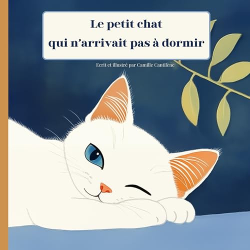 Le petit chat qui n’arrivait pas à dormir: Livre illustré pour enfant de 2ans à 6ans, histoire du soir pour bébé, album de jeunesse sur ... pour jeunes enfants, texte en français