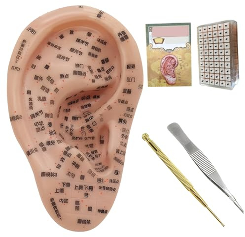 Xoeryoy Ohrsamen Akupunktur Set, Akupunkturnadeln Set, Ohrsamen zur Gewichtsreduktion, Akupunktur Ohrsamen, inklusive Ohrmodell 7,5 Zoll, Ohrpflaster, Pinzette, Sondenstift, Ohrbuch, Bild