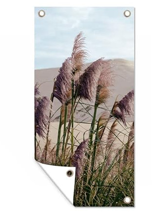 MuchoWow Outdoor-Poster Poster Wanddeko draußen Deko Garten Gartenposter 80x160 cm Pampasgras - Sand - Pflanzen - Düne