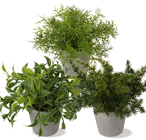 Briful Kunstpflanze Mini Künstliche Pflanze Eukalyptus Rosmarin Kräuter im Zementtopf Deko Badezimmer Schreibtisch Küche Garden Dekoration 2er Set
