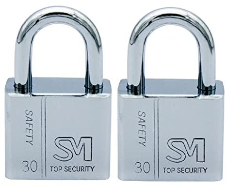 ZESLIV 2 lucchetti in acciaio inox 30 mm serratura cantina sicurezza serratura valigia con 8 chiavi