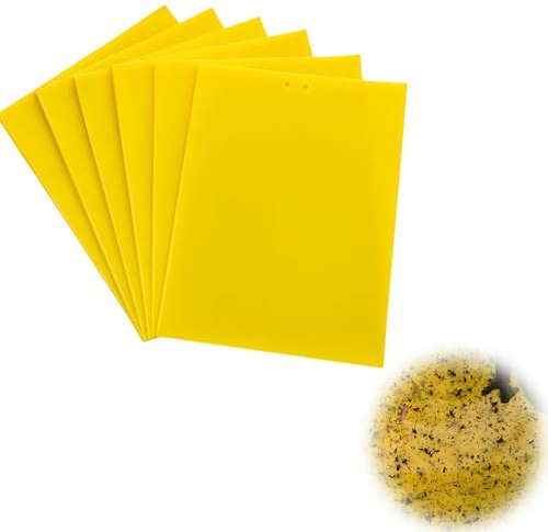 60 Stück Gelbtafeln, gelbtafeln gegen trauermücken, gelbsticker trauermücken, fruchtfliegenfalle, trauermücken bekämpfen, Falle Fliegenfalle zum Bekämpfen für Zimmerpflanzen