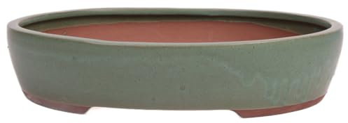 Bonsai - Schale oval 32 x 26 x 7 cm matt grün 40200