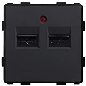 Luxus-Time LUX SERIE - Interruptor de luz táctil con sensor de cristal, interruptor de conmutación, enchufe Schuko, USB, color blanco, negro y dorado (módulo: USB 2, negro)