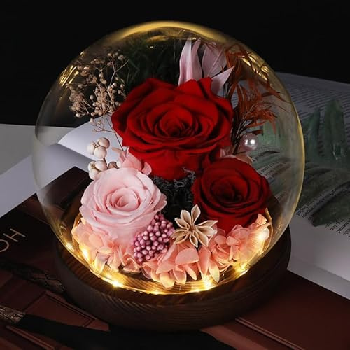 Hojalis Preserved Eternal Rose in Glass Dome, Glass Rose with LED Light, Real Flowers, Forever Love Gifts for Women Mom Wife Girlfriend, Birthday Valentine's Day Mother's Day(Red)