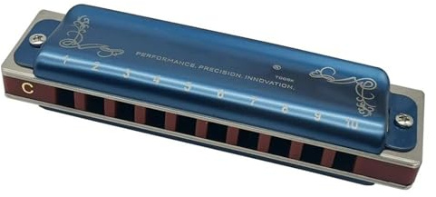 10-Loch-Blues-Mundharmonika diatonische Blues-Mundharmonika mit Etui professionellere Mundharmonika für Anfänger Studenten Erwachsene Spieler klassische Mundharmonika(Blue)