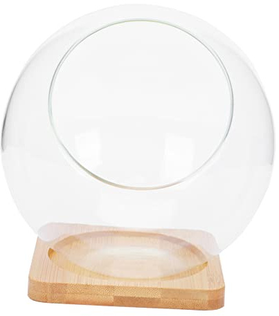 Toyvian Succulent Glass Vase 13.5x13.5cm Round Slant Opening Micro Landscape Bottle and 10cm Bamboo Mat Decorative Plant Storage Pot for Home and Office