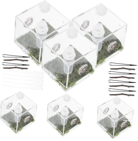UPKOCH Springende Spinne Käfig Acryl Terrarium Mit Belüftung Kleine Reptilien Lebensraum Kasten Für Geckos Grillen Und Vogelspinnen