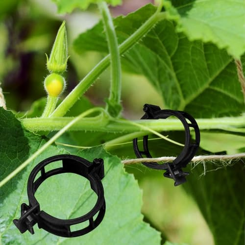 Winmany 100 clips de soporte para plantas de jardín, clips de tomate, conectan plantas, cordeles, enredaderas, jaulas, plantas, vides, hortalizas, hortalizas, herramientas de injerto, hacen que la