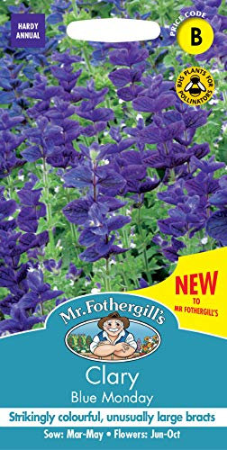 Mr Fothergill’s Seeds Ltd Clary Blue Monday Flower Seeds