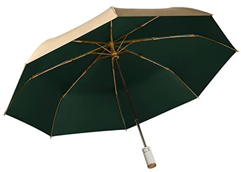 erised's bifrost Regenschirm Taschenschirm mit Auf zu Automatik Ergonomischem Griff Design,Gold Beschichtung Gegen Feuchtigkeitsschäden,UV Schutz,für Herren/Damen/Mädchen