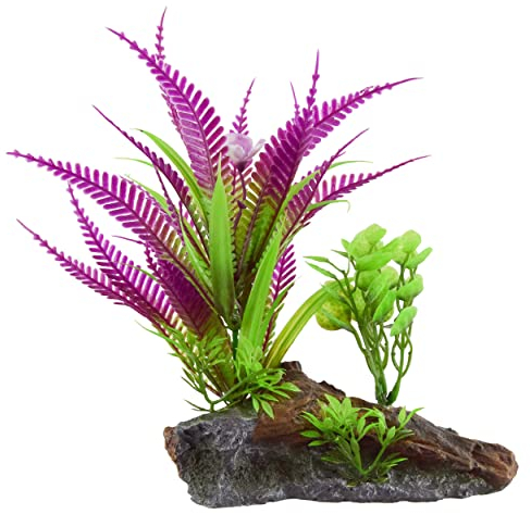 Underwater Treasures Purple Fern On Root